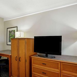 Executive King Room Sofa Bed Non-Smoking